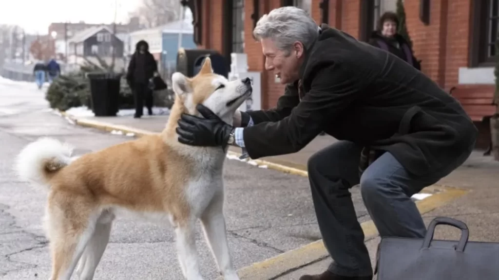 Hachiko Hachiko