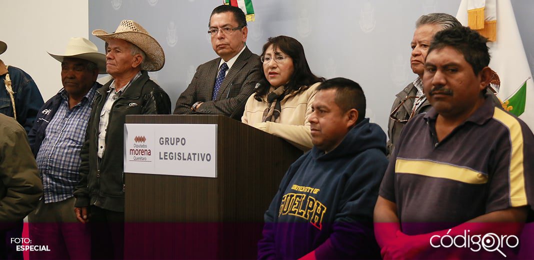 Despojo de tierras es un chisme de Morena: Alejandro Ochoa