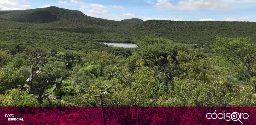 Ejidataria de Peña Colorada denuncia amenazas de muerte