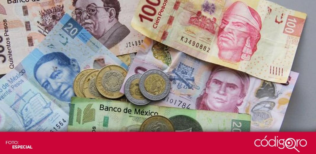 Estiman destinar hasta 5 millones de pesos para fomento al autoempleo