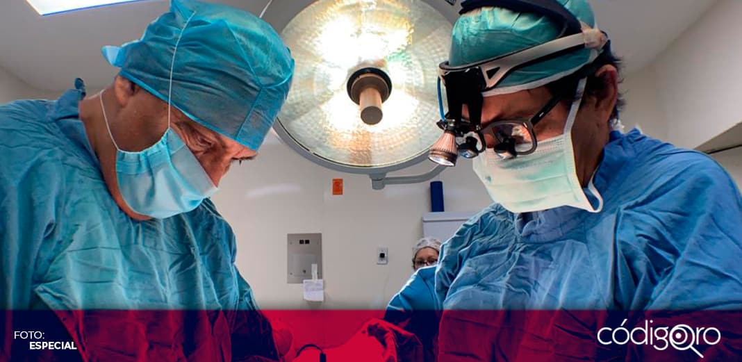 IMSS realiza cuatro procuraciones multiorgánicas