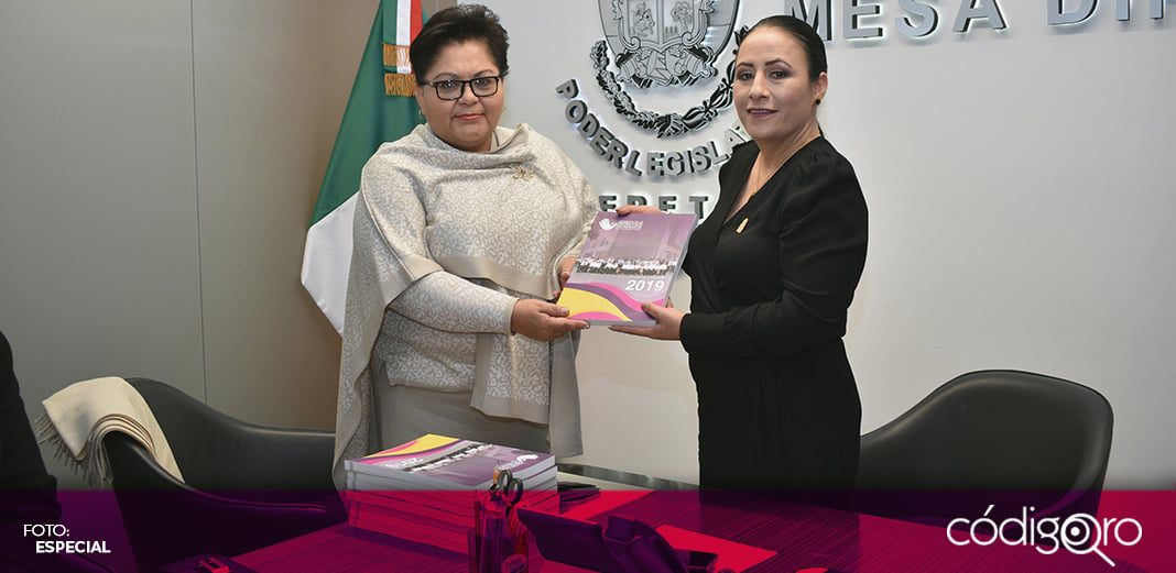 Informe de DDHQ debió ser abierto a la ciudadanía y transparente: Daniela Salgado