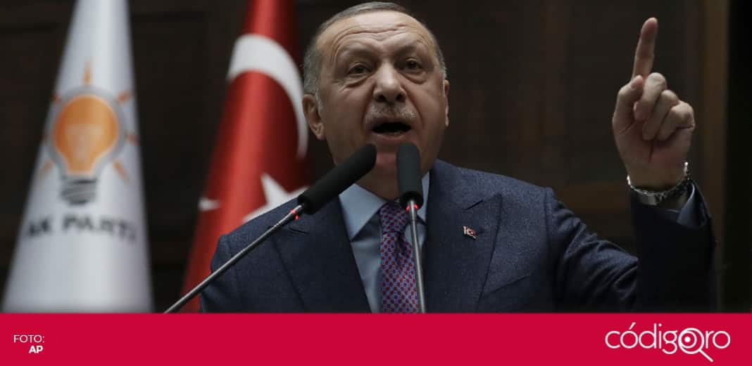 Presidente de Turquía anuncia cumbre sobre Siria con Rusia, Francia y Alemania