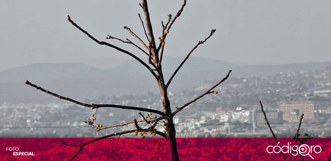 Alertan sobre riesgos de construir en Área Natural Protegida
