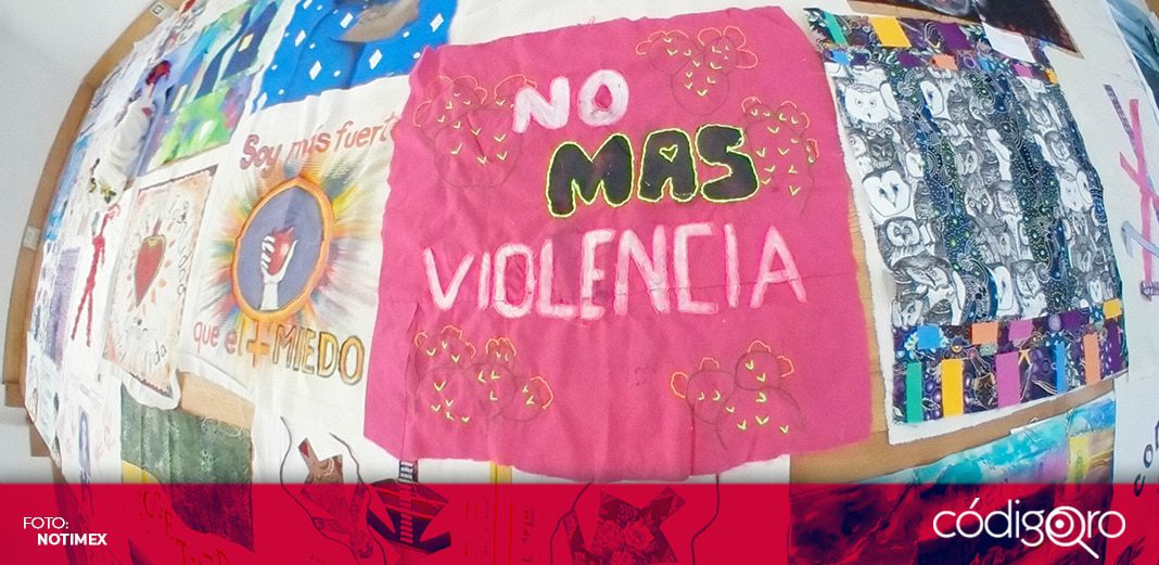 Habrá justicia para mujeres cuando las instituciones estén fortalecidas: directora