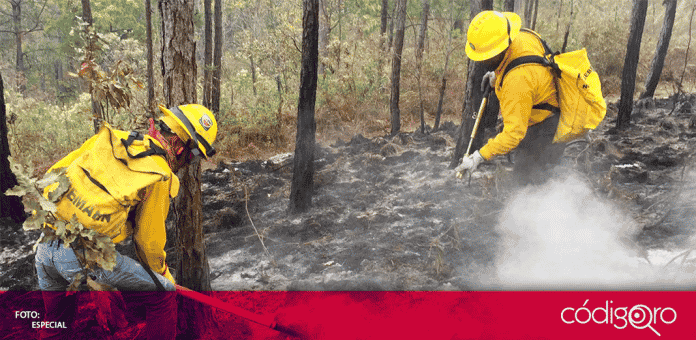 30 Mil hectáreas siniestradas es la superficie afectada por incendios forestales en México