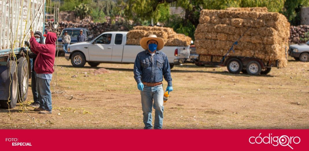 El Marqués inicia entrega de apoyos al sector agropecuario