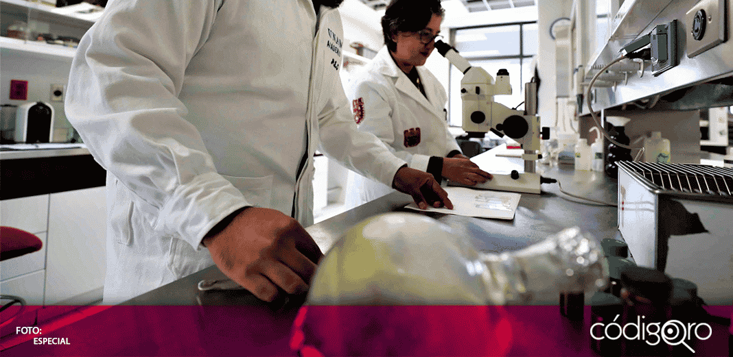 Conacyt busca apoyar proyectos que contribuyan al control del COVID-19