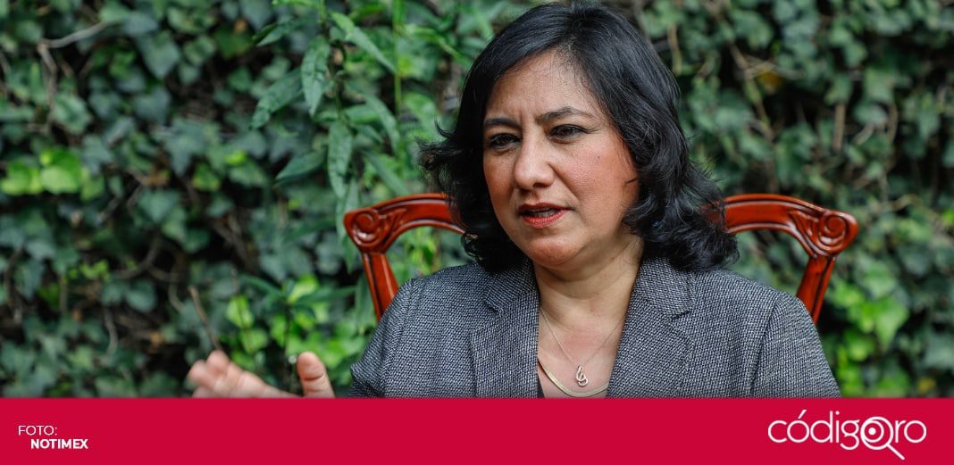 Irma Eréndira Sandoval, secretaria de la Función Pública, padece COVID-19