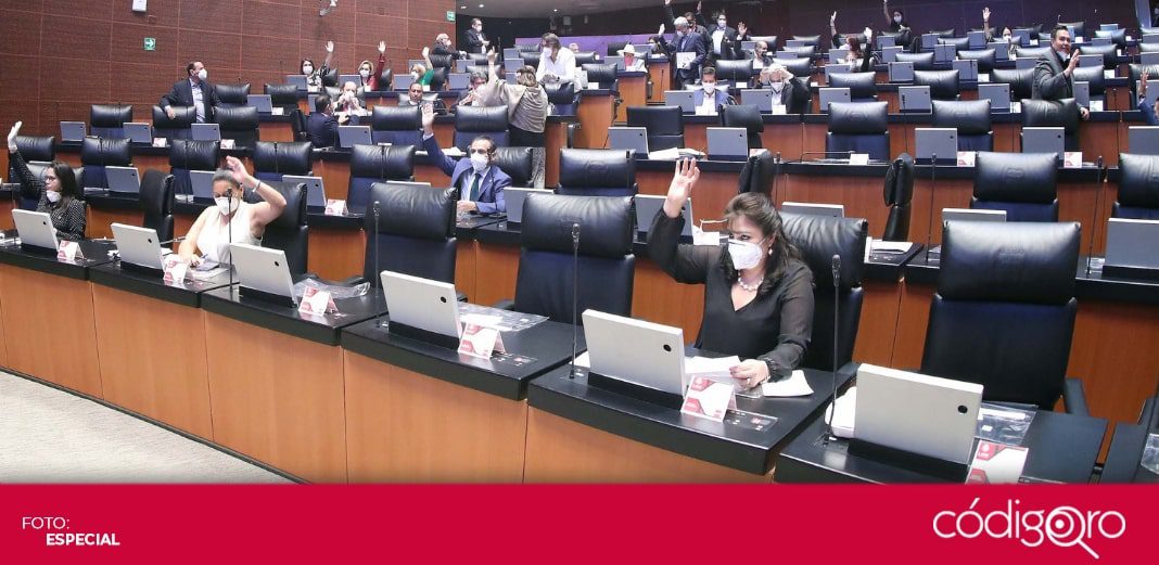 Grave error, aprobación de la Ley de Amnistía: diputados locales