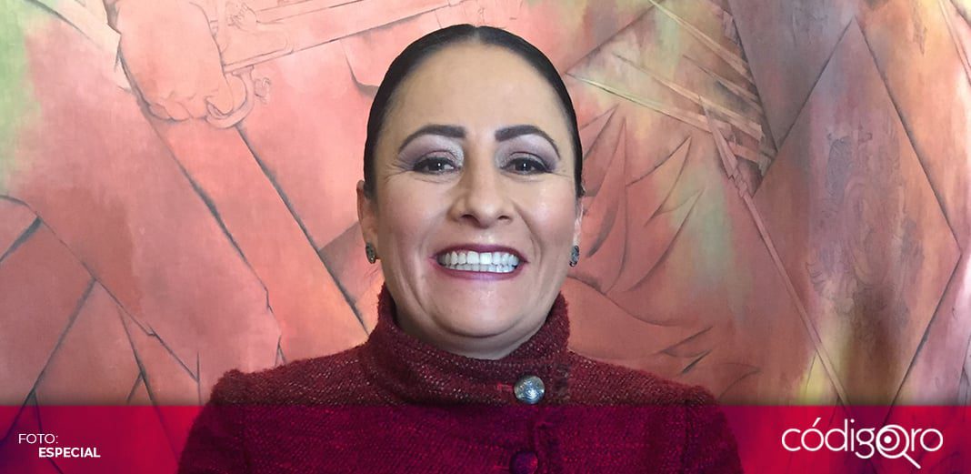 Camisas personalizadas en entrega de despensas, por seguridad: diputada