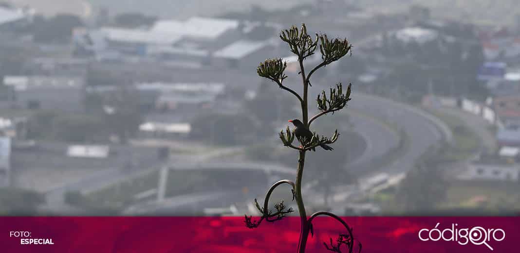 Funerarias y hospitales en Ecuador rebasados por muertos de Covid-19