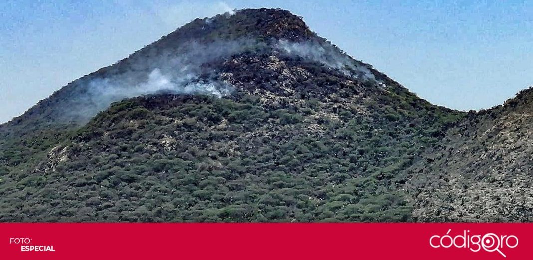 Siguen los trabajos para sofocar el incendio en el cerro de Mitlan