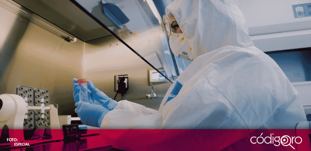 Israel anuncia avances en creación de anticuerpo contra COVID-19