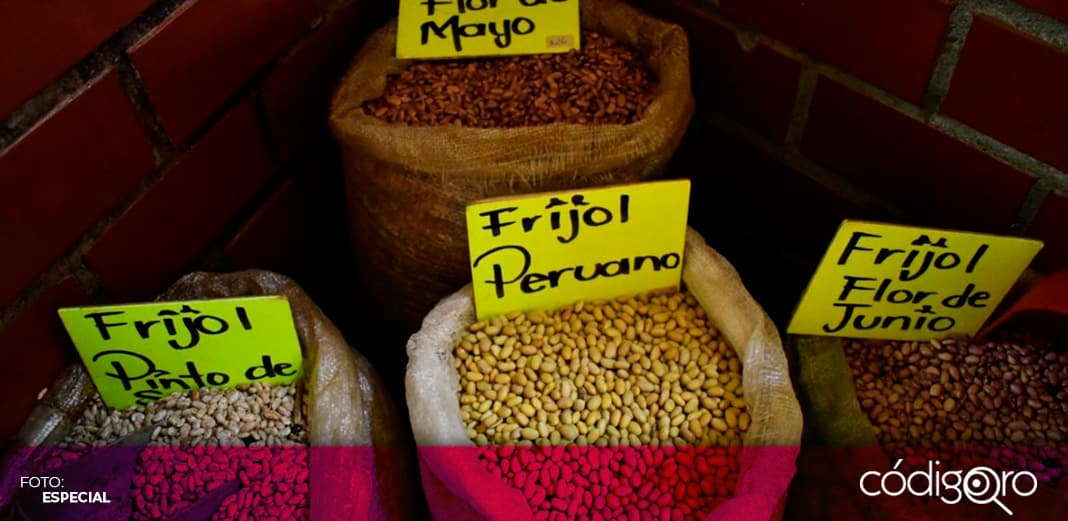 No hay alza significativa en precio del frijol en Querétaro: Sedea