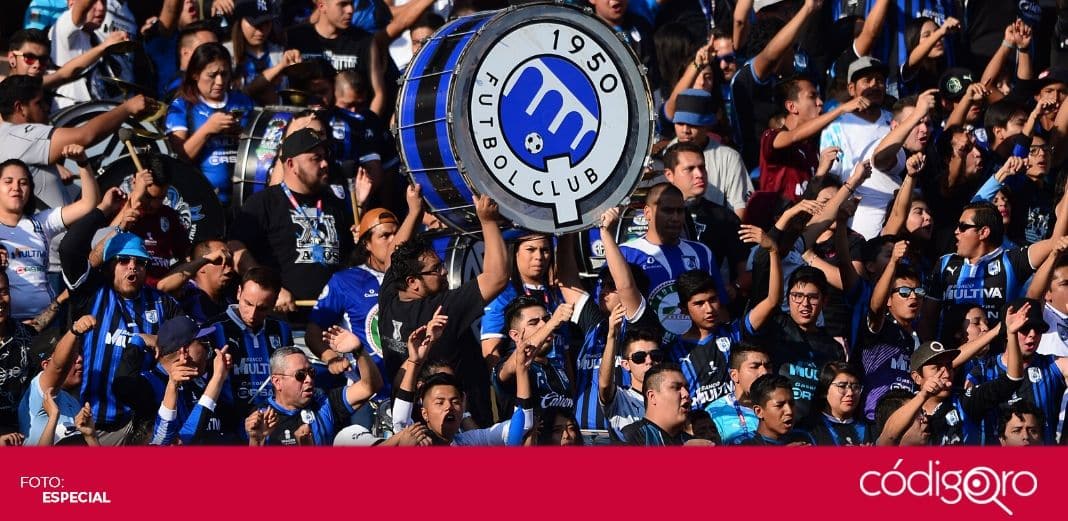 Gallos, del dolor y otras historias