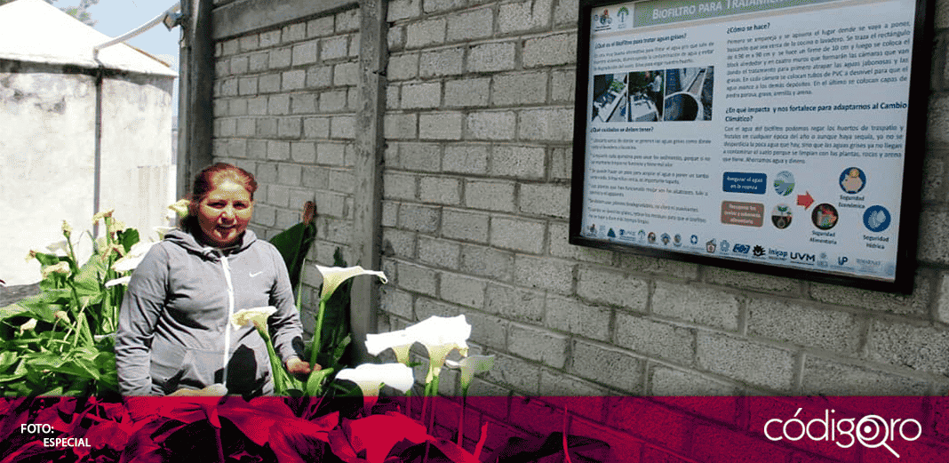 "Mujeres y Ambiente" de Querétaro gana Premio Ecuatorial de programa de la ONU