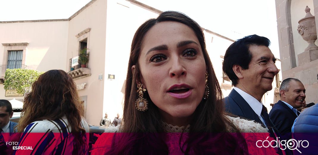 Sin entregar a municipios, 411 fraccionamientos: diputada