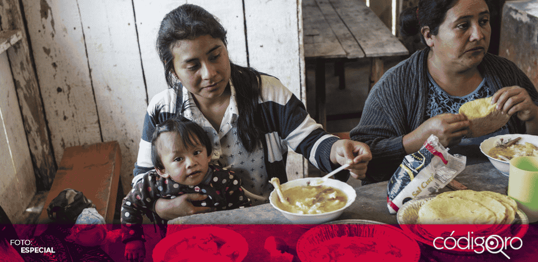 55.5% de los hogares mexicanos presentan inseguridad alimentaria durante pandemia: UNICEF