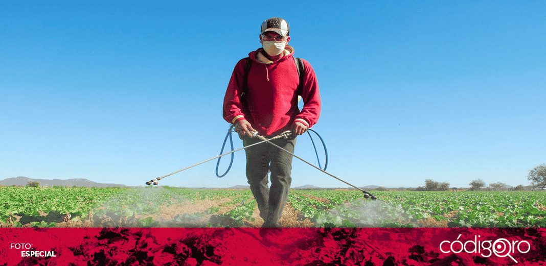 México ha identificado casos en materia laboral para demandar a Estados Unidos, preparan denuncias