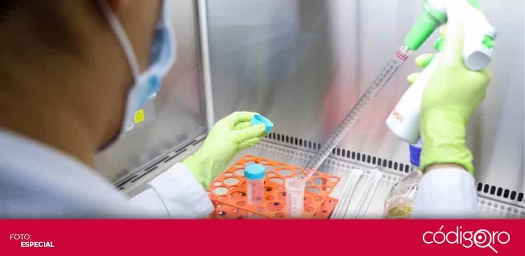De obtener recursos, desarrollo de vacuna de la UAQ demoraría año y medio
