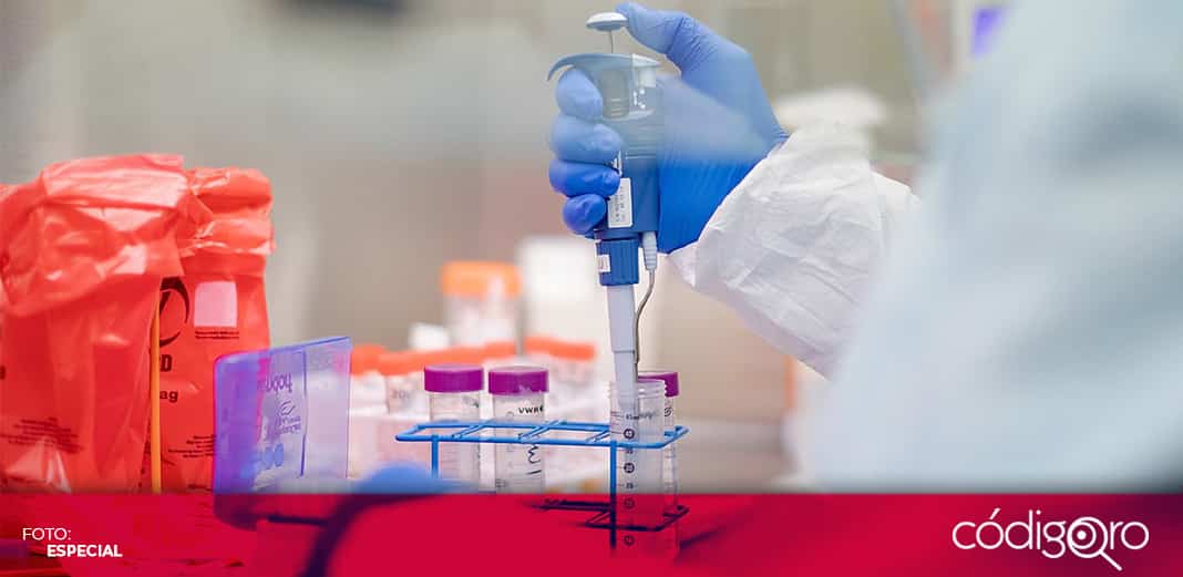 Alemania dona a México 100 mil pruebas PCR  para detectar COVID-19
