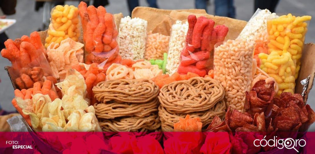 Consumo de comida chatarra, decisión de los padres: Daniela Salgado