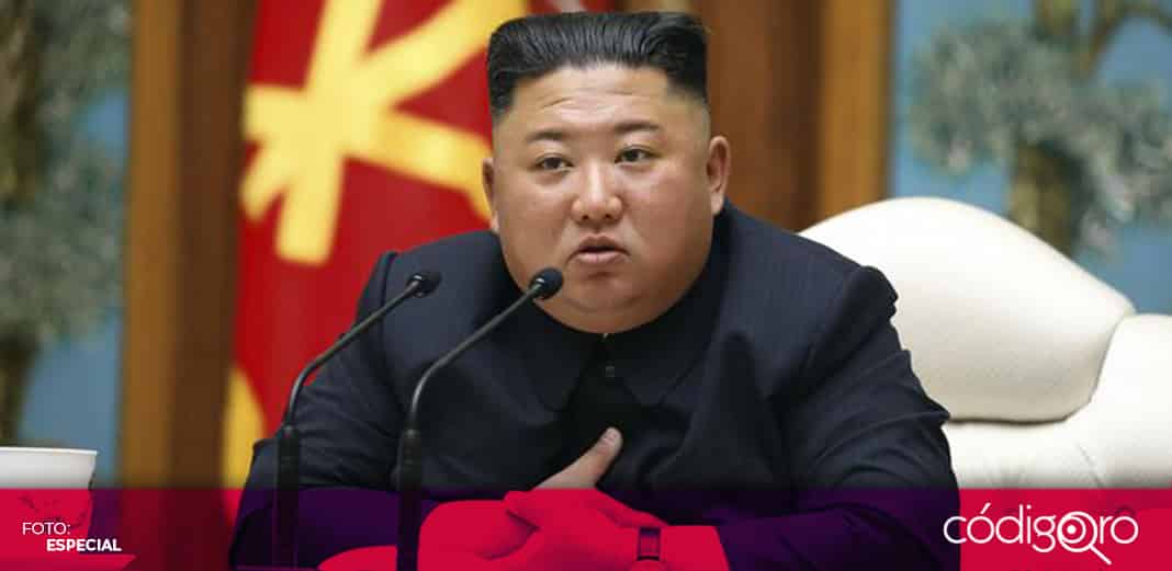 Kim Jong-Un, líder supremo de Corea del Norte, prohíbe tener perros como mascotas