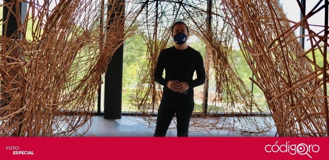 Galería Nuqleo reabre con la exposición "Semilla"