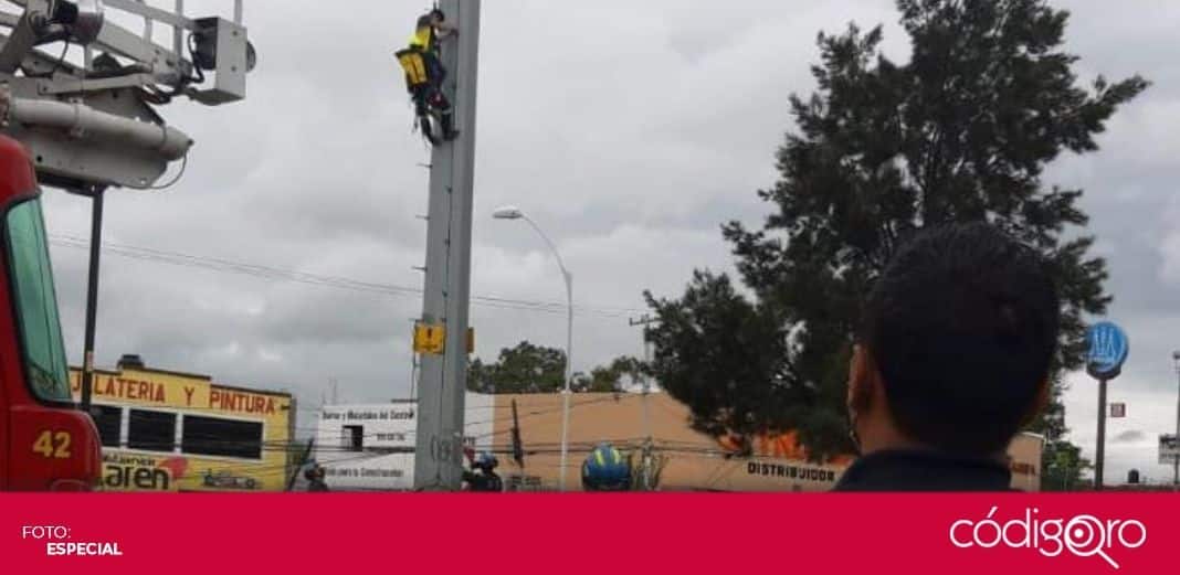Rescatan a una persona que subió a una torre de electricidad en avenida de la Luz