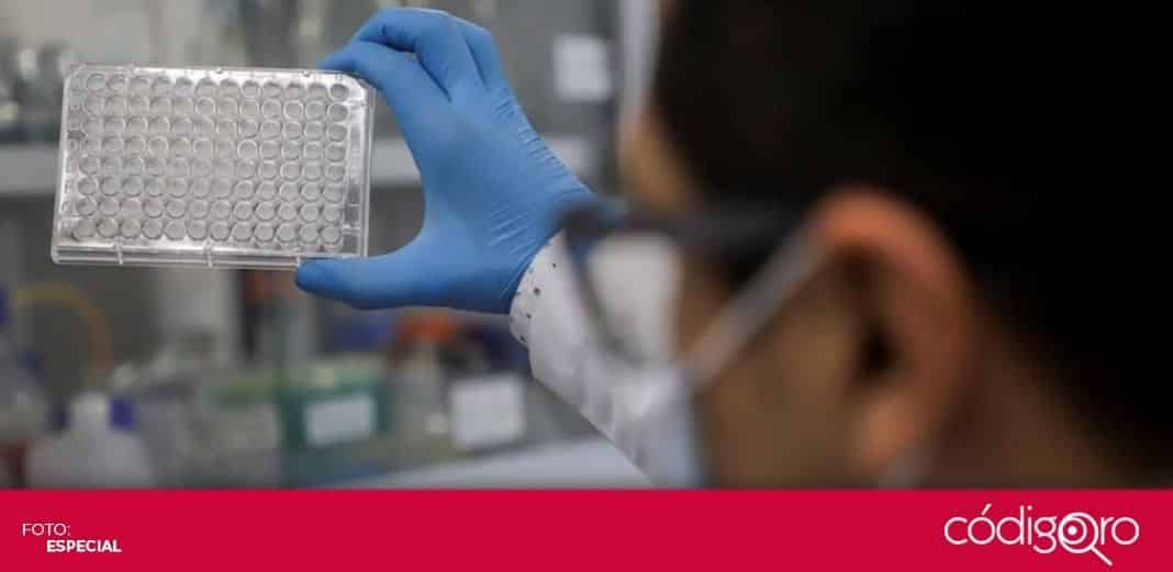 Procesos regulatorios para generar vacunas resultan un obstáculo: rectora de la UAQ