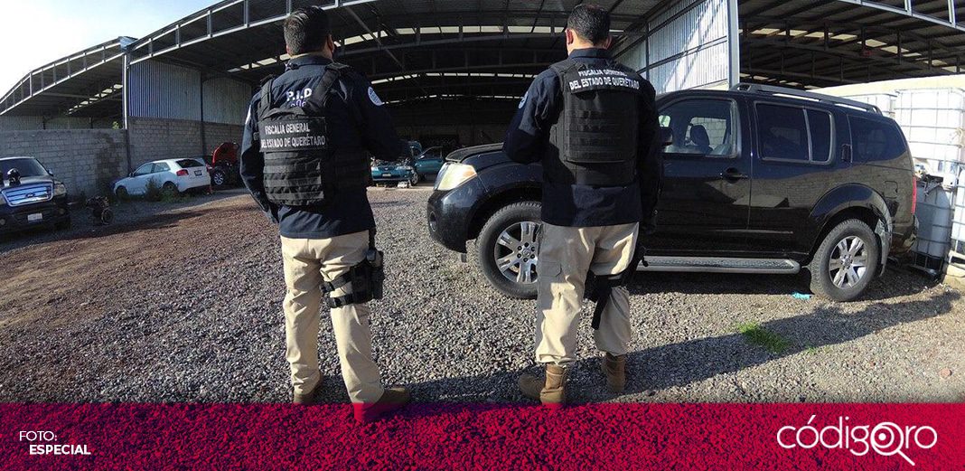 En cateos simultáneos, aseguran vehículos con reporte de robo, armas y cartuchos