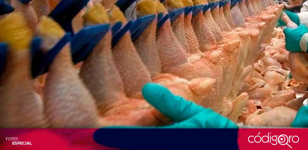 La OMS descarta que el Covid-19 pueda transmitirse a través de la comida