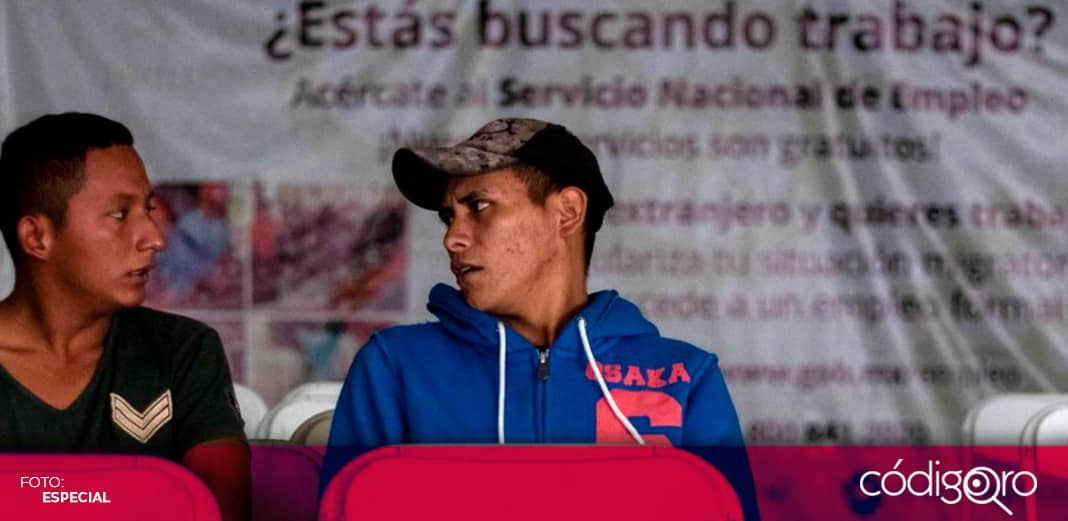 ST oferta 400 vacantes para Agente del Servicio de Protección Federal