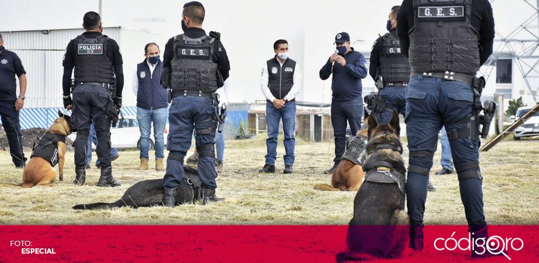 Reconocen a binomios de la Policía Municipal de Corregidora