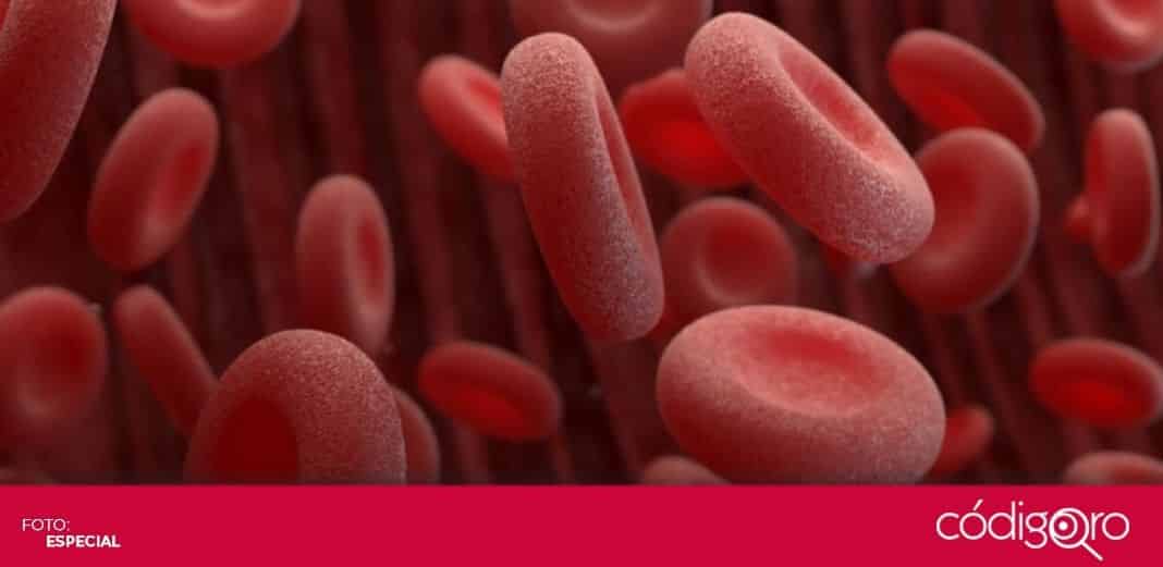 En Querétaro, 50% de pacientes con hemofilia no saben que tienen la enfermedad