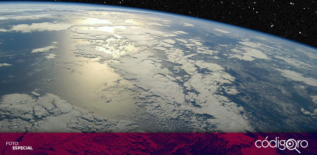 La sexta extinción masiva ya es una realidad