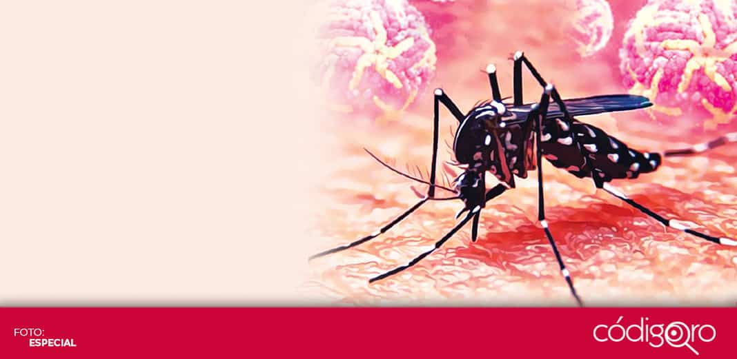 Ante dengue, movilizan personal sanitario a la sierra