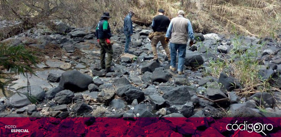 Localizan restos de 59 personas en fosas clandestinas en Salvatierra, Guanajuato