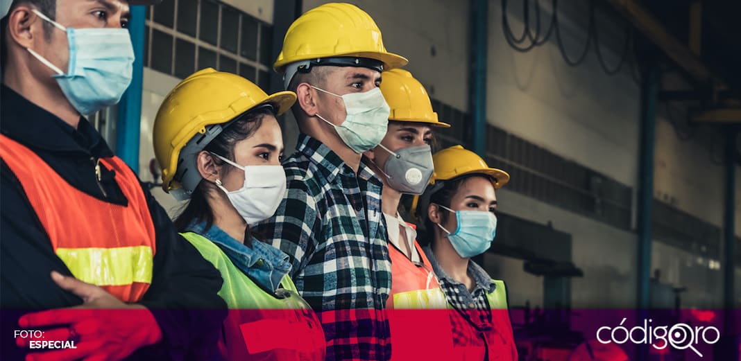 Secretaría del Trabajo ha colocado a más de 8 mil empleados en puestos formales
