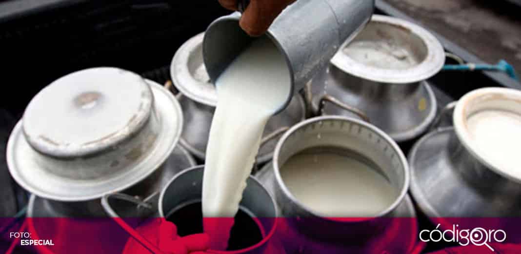 Campo crece 3% con recurso estatal y sin apoyo de la federación: productor