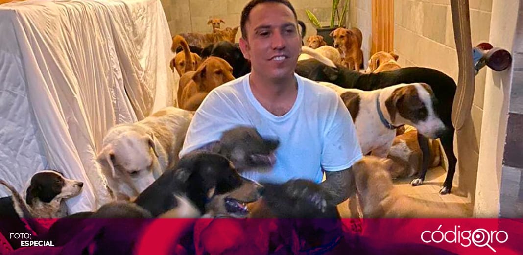 Joven refugia a más de 300 perros callejeros en su casa para protegerlos del huracán Delta