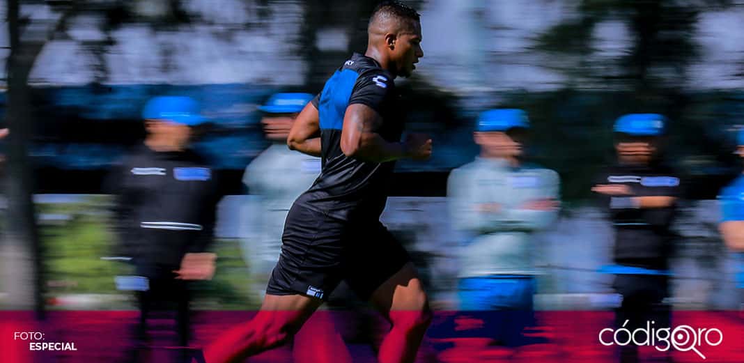 ¡Es oficial! Antonio Valencia es el nuevo jugador de Gallos