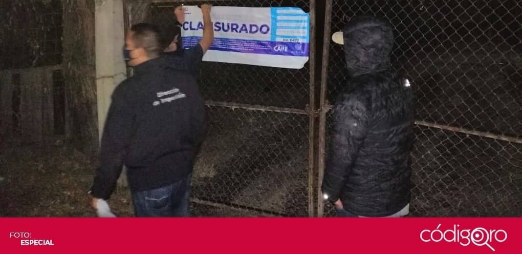 Municipio de Querétaro suspende carrera de caballos y 2 peleas de gallos