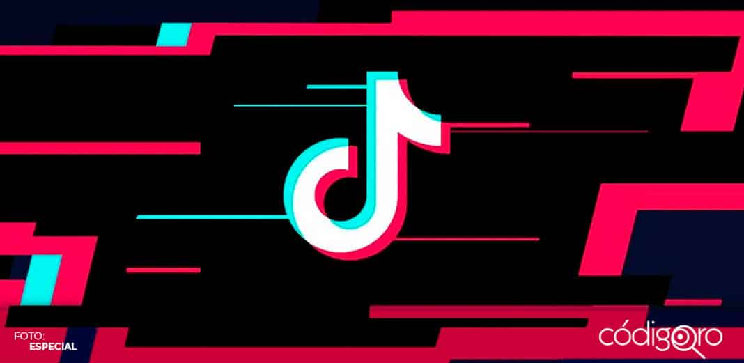 Un año en 60 segundos, los mejores videos de TikTok en 2020