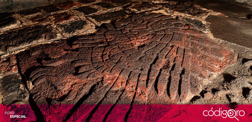 INAH estudia el bajorrelieve de un águila real descubierto en el Templo Mayor de Tenochtitlan