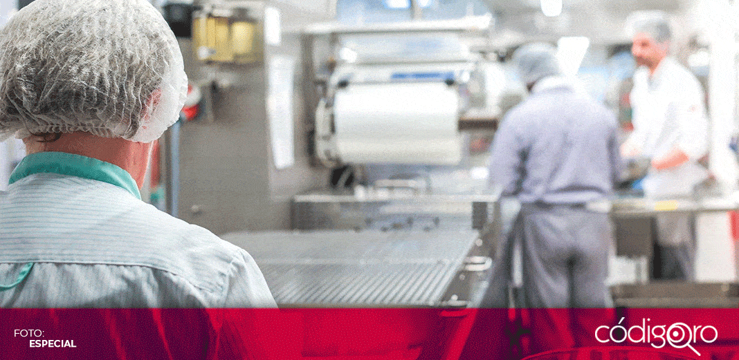 STPS corrige proceso para legitimar contratos colectivos de trabajo