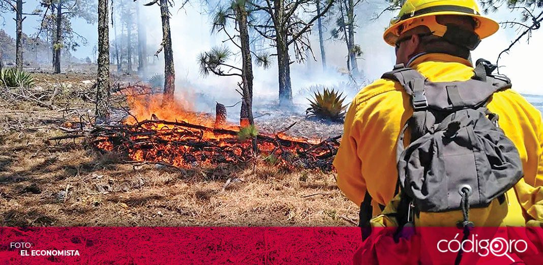 Estado debe contar con hidroavión para combatir incendios: ambientalista