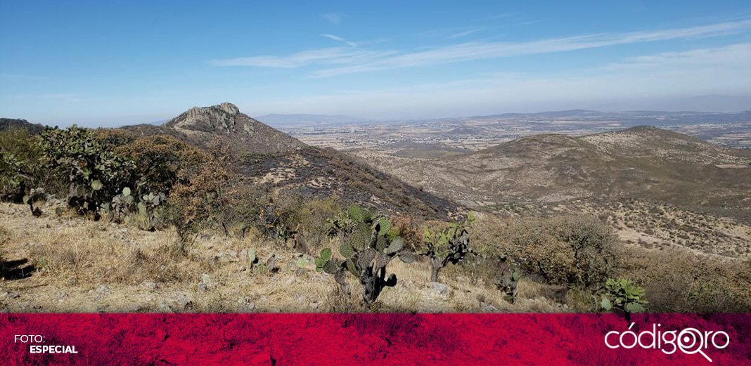 Controlan incendio forestal en Huimilpan: Protección Civil Estatal