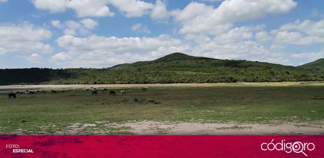 Piden a candidatos presentar plataforma ambiental